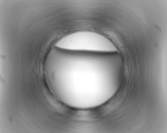 X0000091330457200708101004