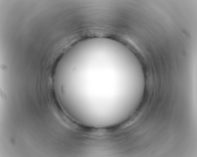 X0000091330459200708101004