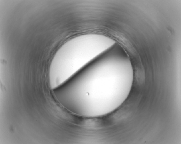 X0000091330461200708101005