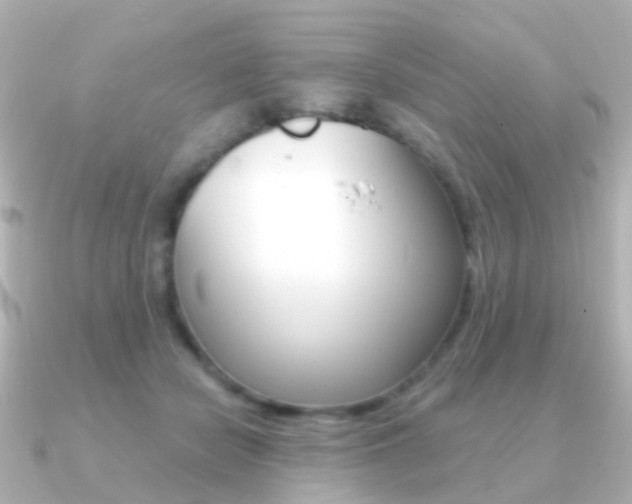 X0000091330462200708101005