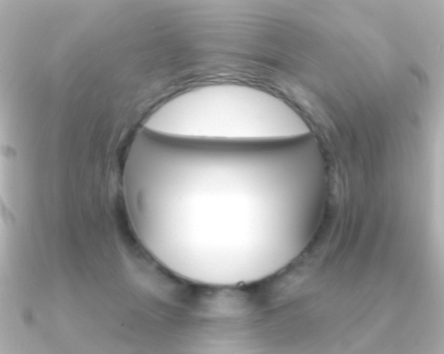 X0000091330463200708101005