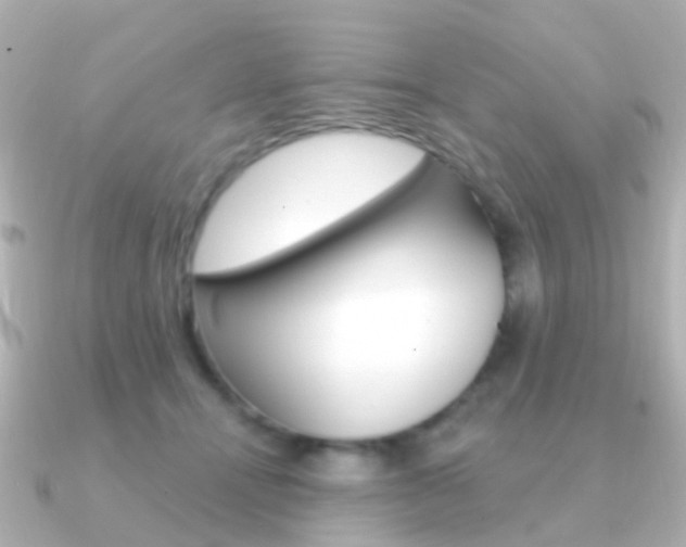 X0000091330464200708101005