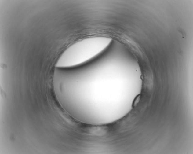 X0000091330465200708101005