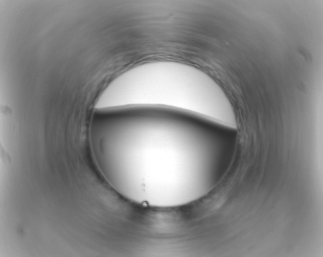 X0000091330466200708101005