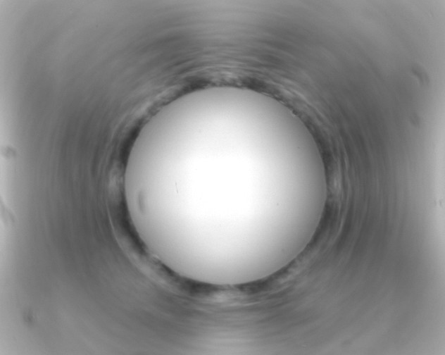 X0000091330468200708101005