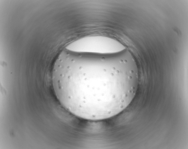 X0000091330469200708101005