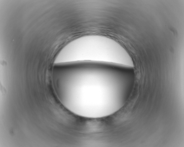 X0000091330470200708101005