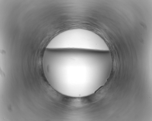 X0000091330473200708101005