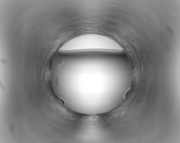 X0000091330474200708101005