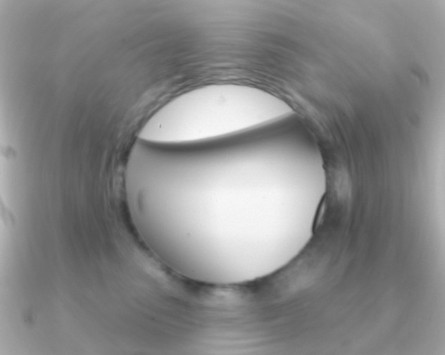 X0000091330475200708101005