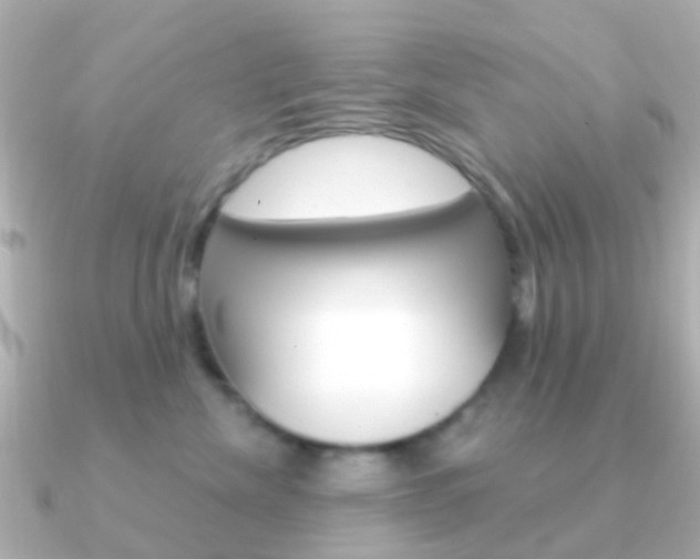 X0000091330476200708101005