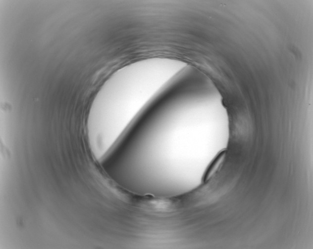 X0000091330478200708101005