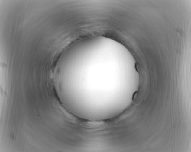 X0000091330480200708101005