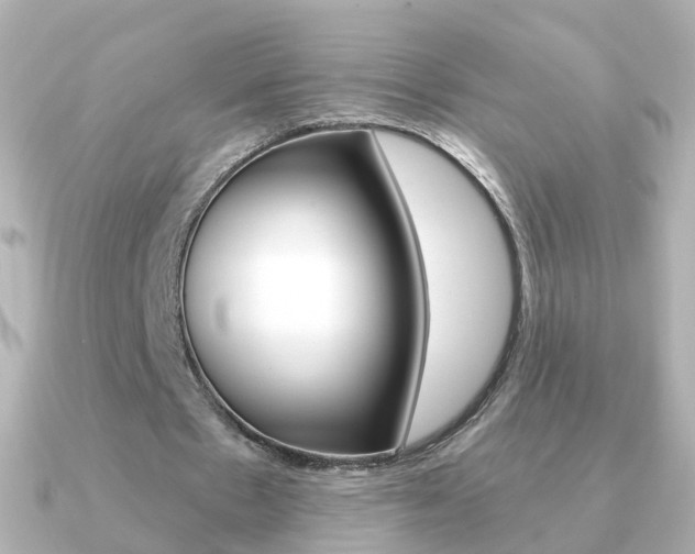 X0000091330481200708101004