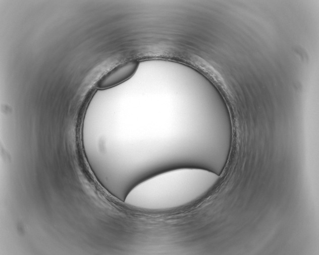 X0000091330482200708101004