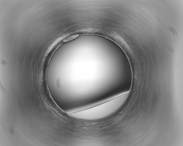 X0000091330484200708101004