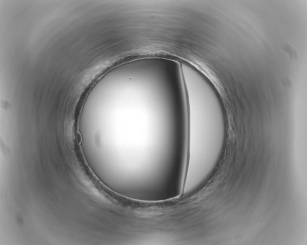 X0000091330485200708101004