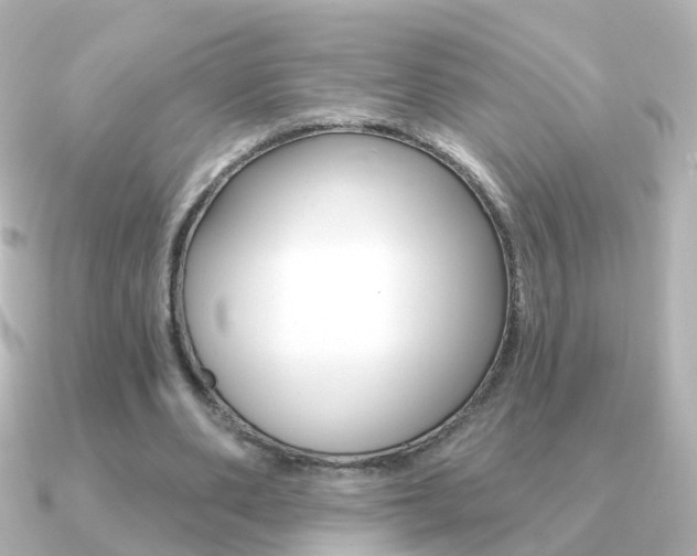 X0000091330486200708101004