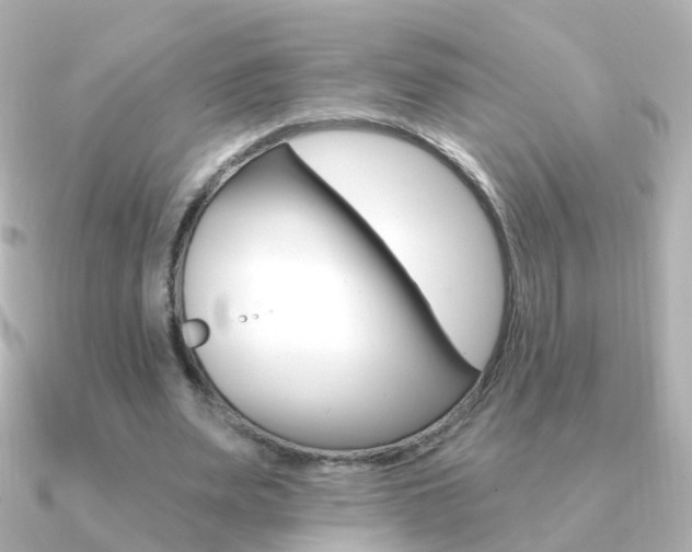 X0000091330487200708101004