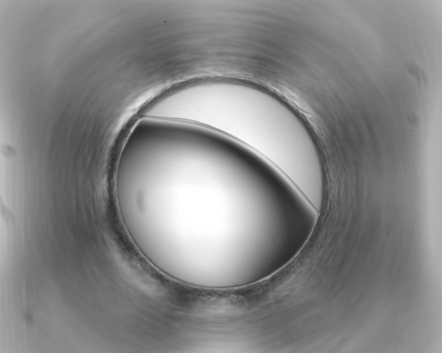 X0000091330488200708101004