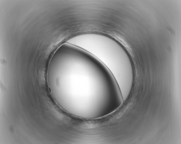 X0000091330489200708101004