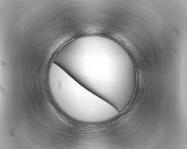 X0000091330490200708101004