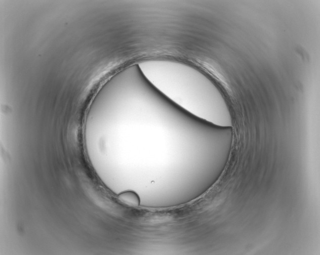 X0000091330491200708101004