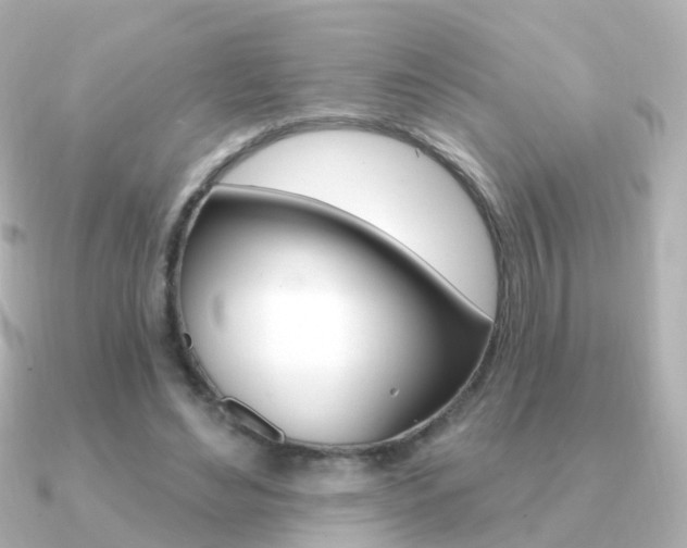 X0000091330492200708101004