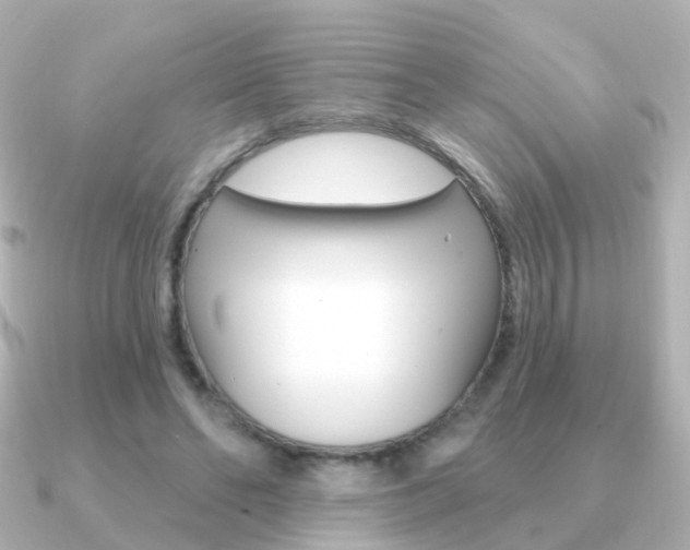 X0000091330494200708101004