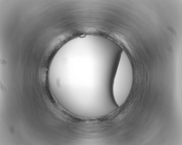 X0000091330495200708101004