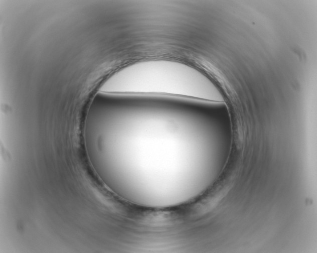 X0000091330497200708101004