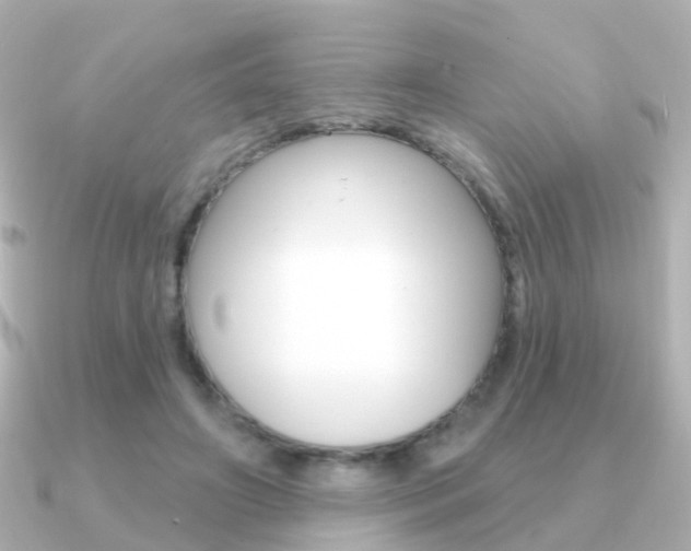X0000091330498200708101004