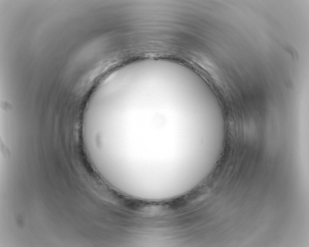X0000091330499200708101004