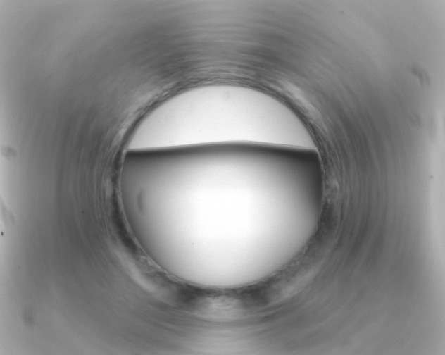 X0000091330500200708101004