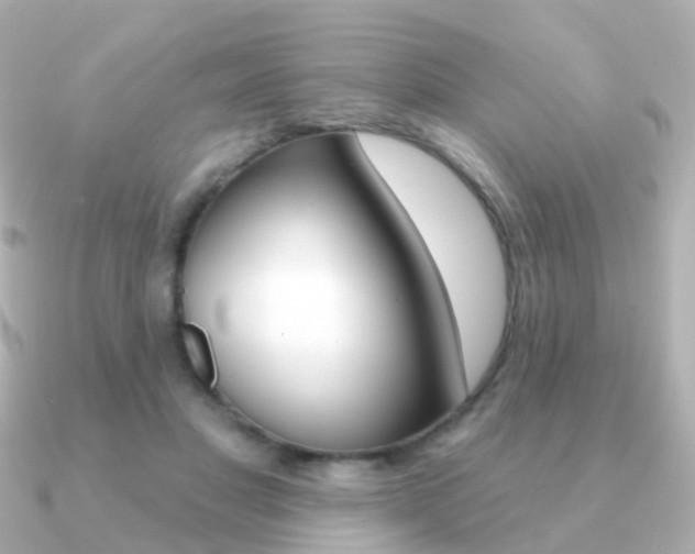 X0000091330501200708101004