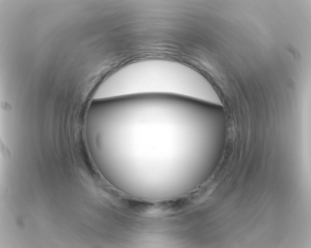 X0000091330504200708101004