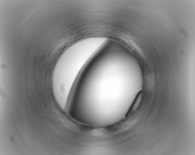 X0000091330505200708101004