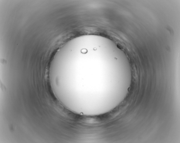 X0000091330507200708101004