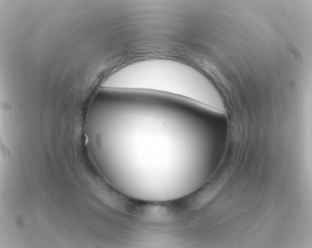 X0000091330509200708101004