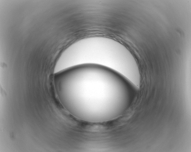X0000091330512200708101004