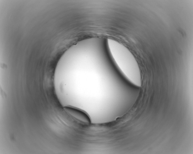 X0000091330515200708101004