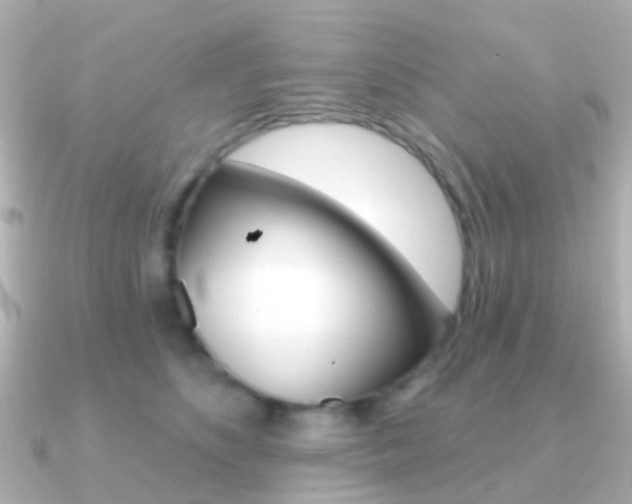 X0000091330516200708101004