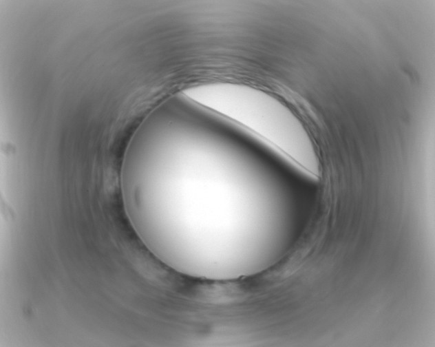 X0000091330517200708101004