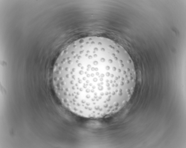 X0000091330519200708101004