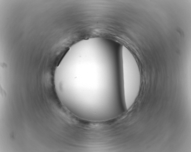 X0000091330520200708101004