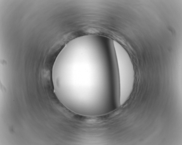 X0000091330521200708101004