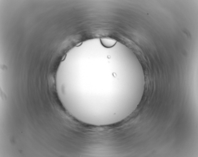 X0000091330523200708101004