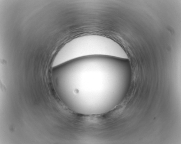 X0000091330524200708101004