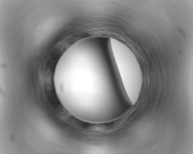 X0000091330525200708101004