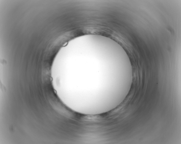 X0000091330526200708101004